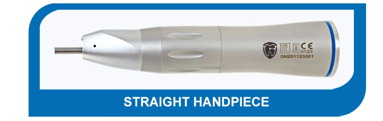 2/4 Hole 1: 1 Low Speed Dental Handpiece Kit with Contra Angle/Straight Handpiece